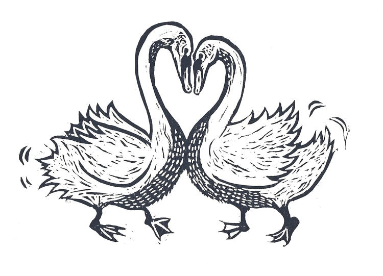 Love Swan Greeting Card