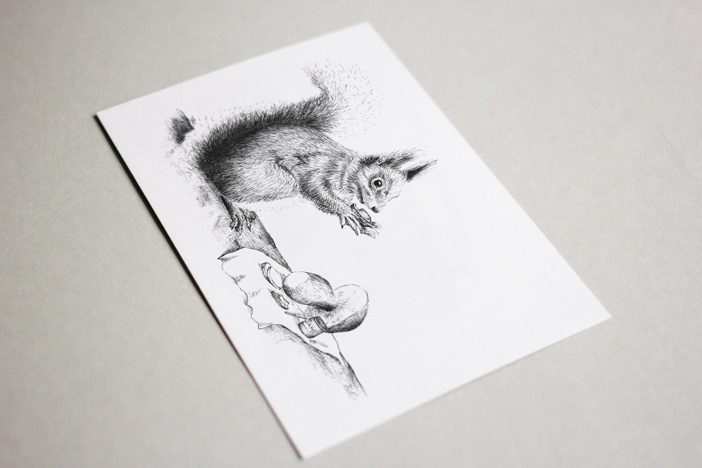 Eekhoorntjesbrood | Squirrel Print