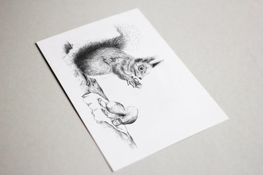 Eekhoorntjesbrood | Squirrel Print
